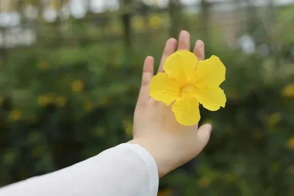 不经意间

不经意间相逢泛起了涟漪
爱与被爱交织在一起
肌肤只剩下了一种呼吸
魂