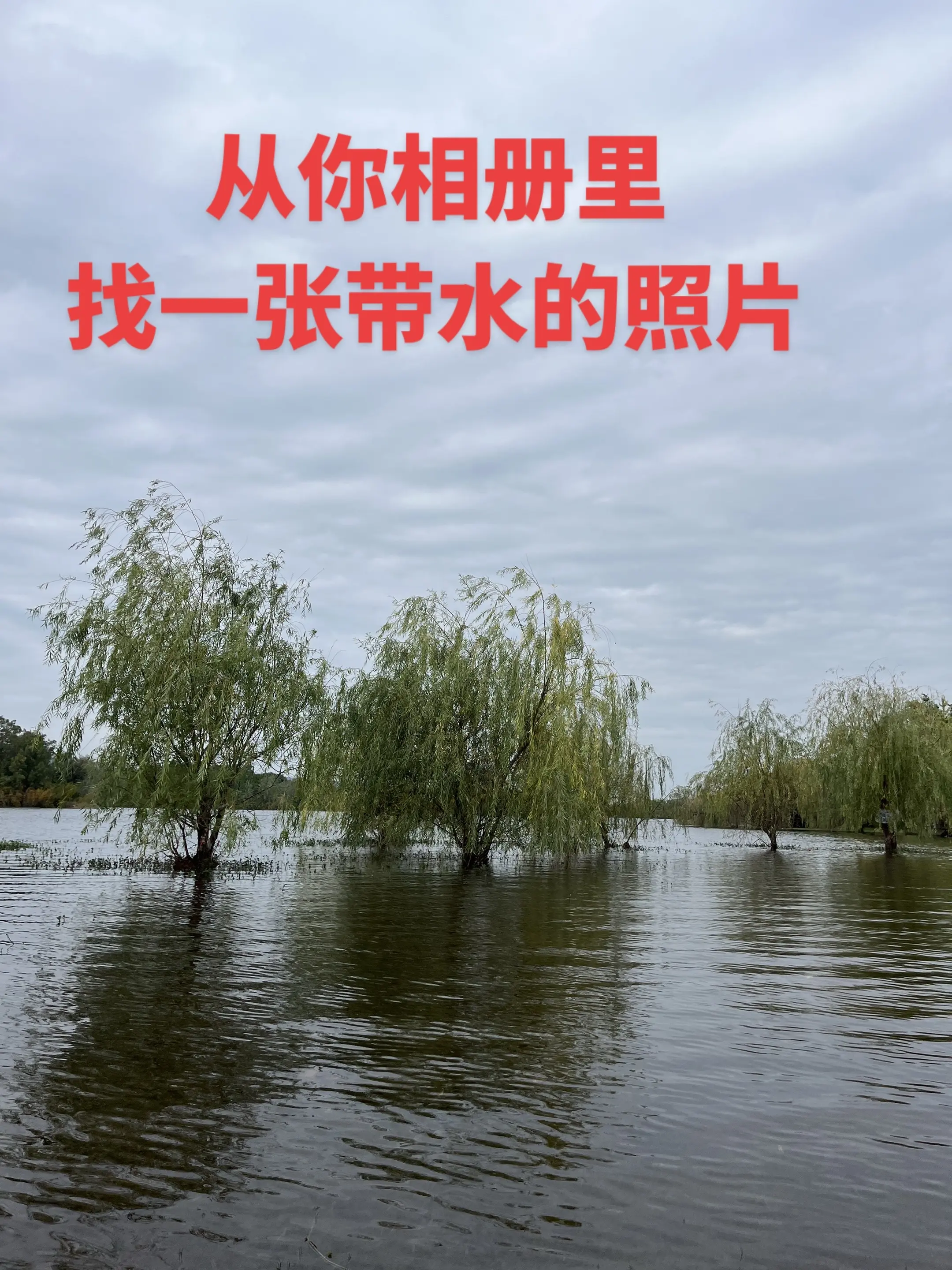 家乡美景 治愈系