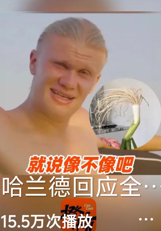 英超名场面直接炸锅！赛场上大杀四方的哈兰德，眼睁睁看着对手加布里埃尔蒙头庆祝，居