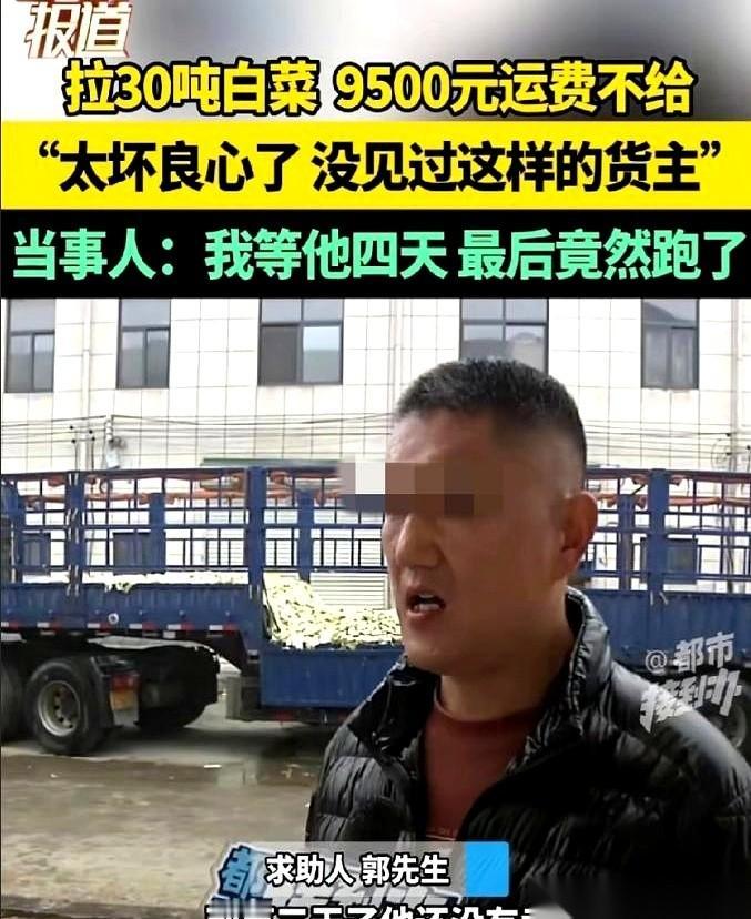货主说：我这车白菜才卖了7000，亏了，运费9500只能给一半。
司机大哥直接掏