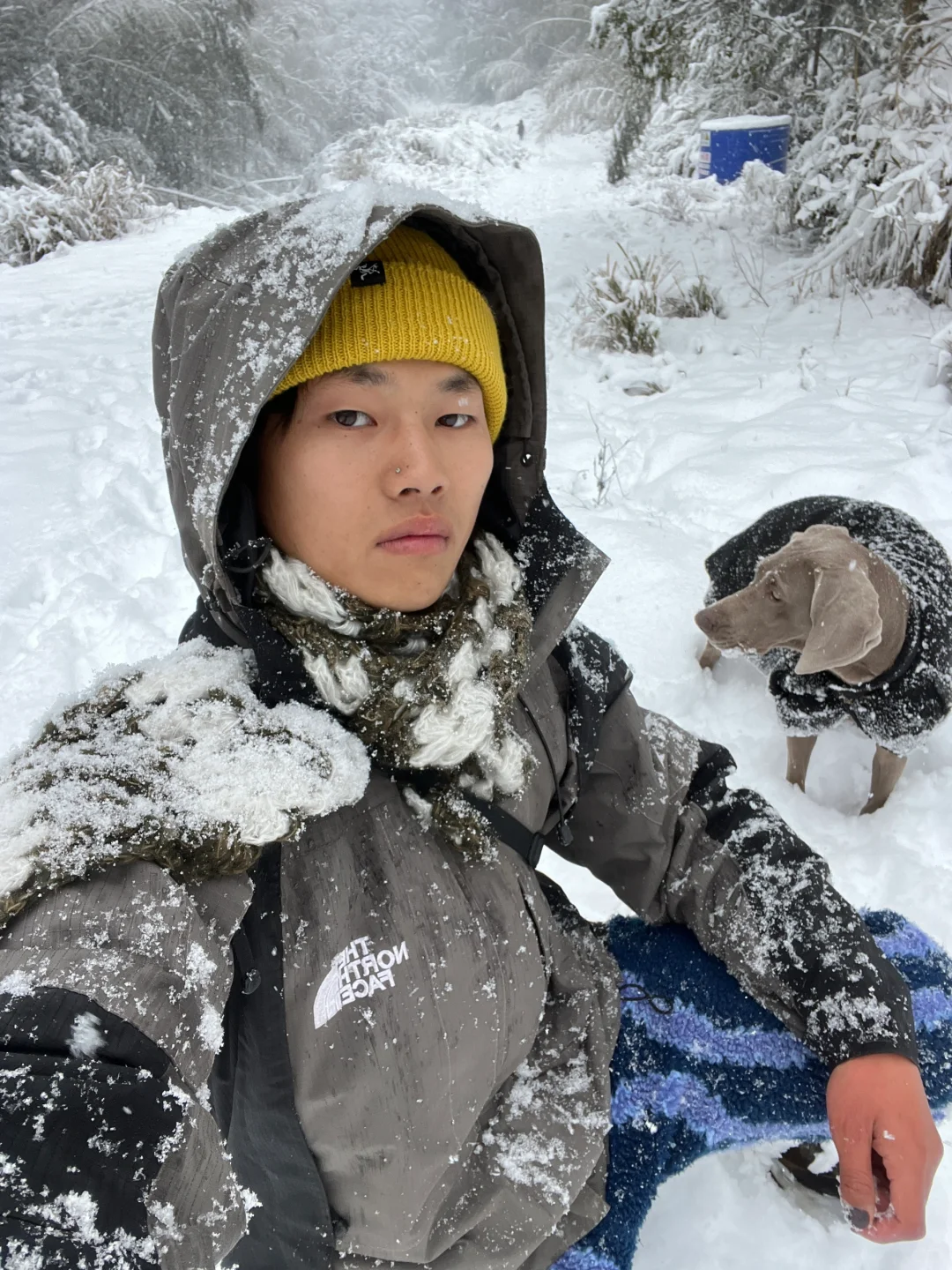 大雪天也要坚持遛狗