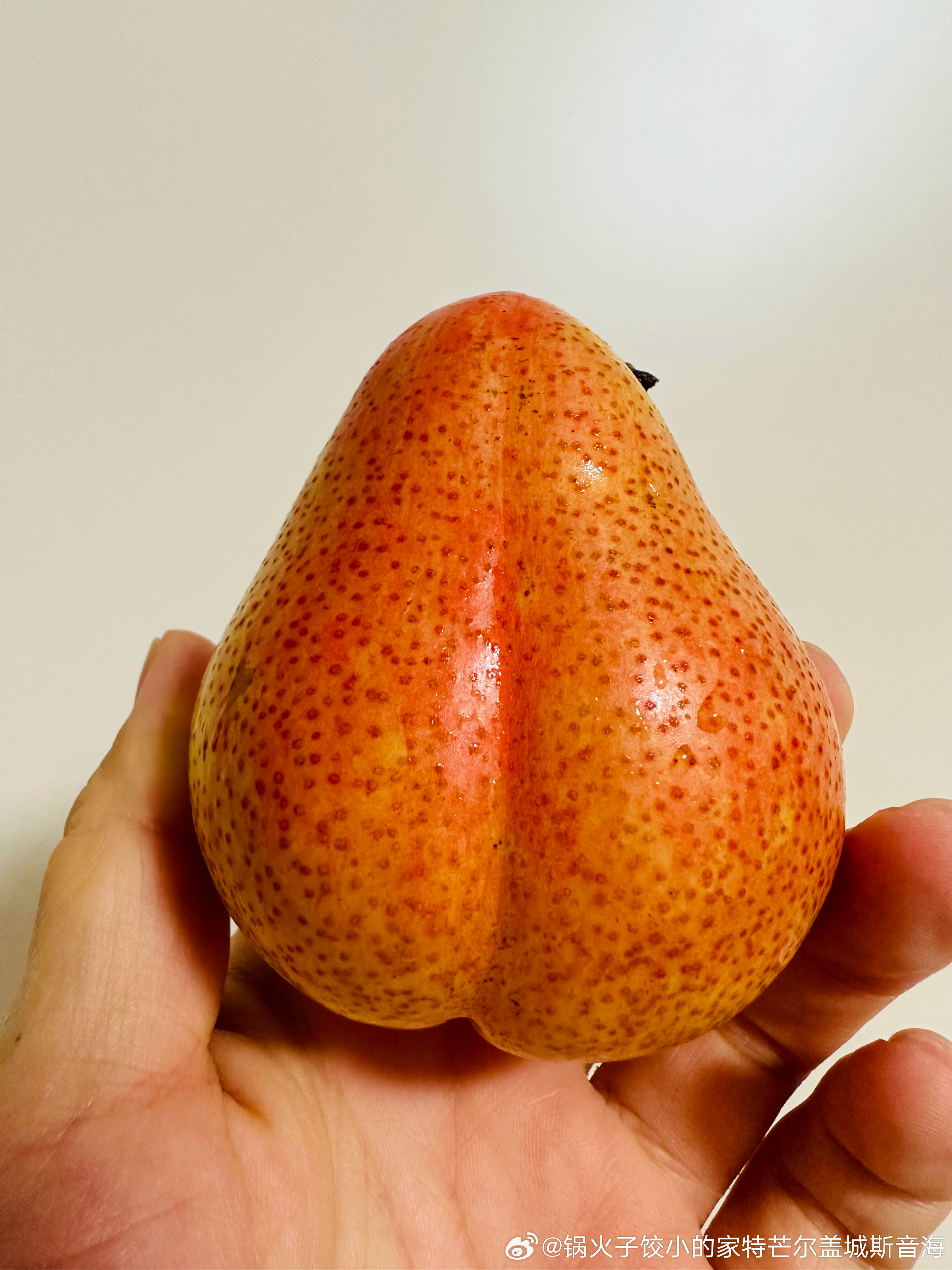 我又忘了问这个像袋鼠阴囊一样的梨叫啥了！反正很好吃！今天老板娘又给我抹零5毛钱 