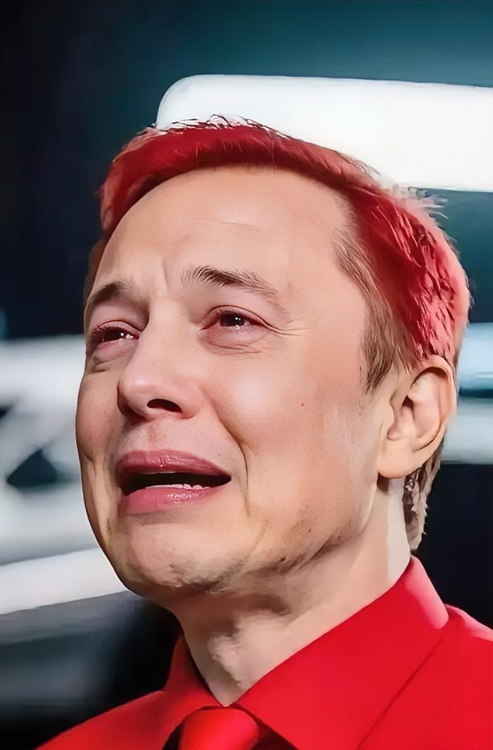 全球首例！
这下马斯克可能要倒霉了！
2月2日媒体报道，中国禁止电动汽车使用无机