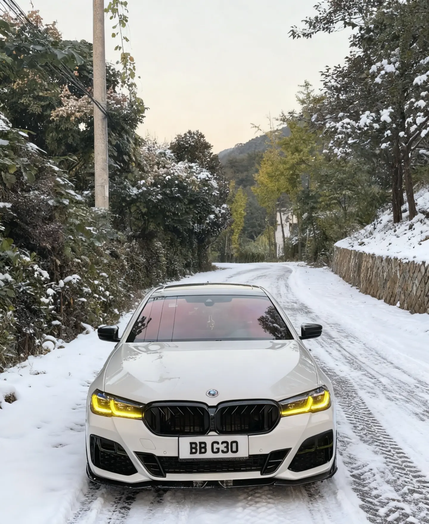 可以看看你们的帅气宝马吗