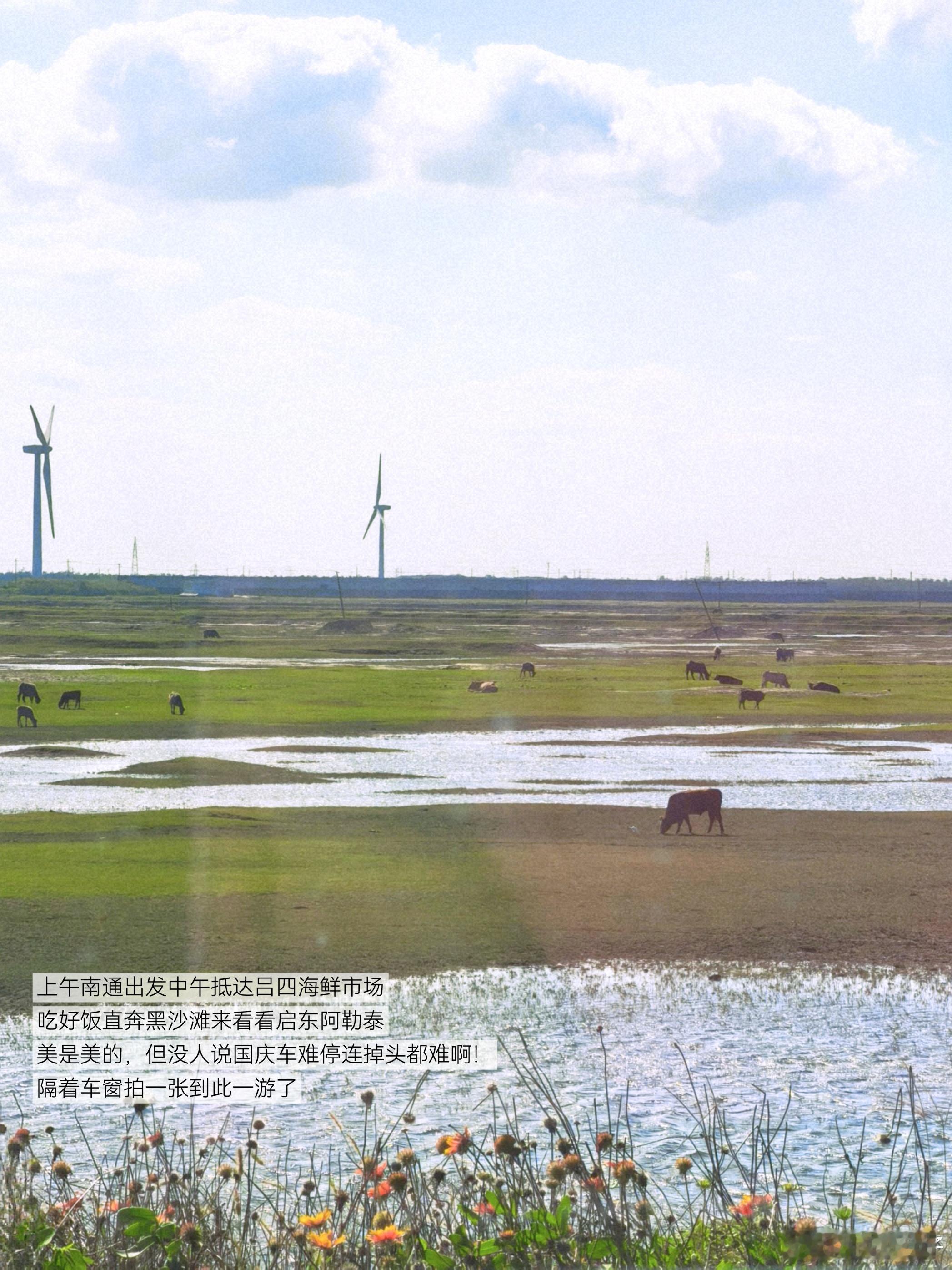 从浙F到苏F 今天到启东了，差点遭遇豆生赶海史上的第一次空军，还好爸爸最后力挽狂