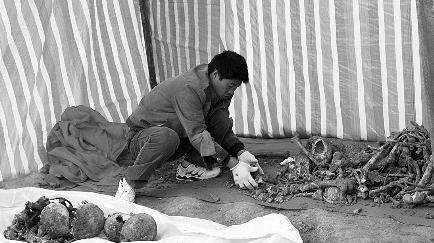 1943年，国民党官员庞炳勋投敌叛国残忍砍下了30多名八路军的头颅，并将尸体扔到