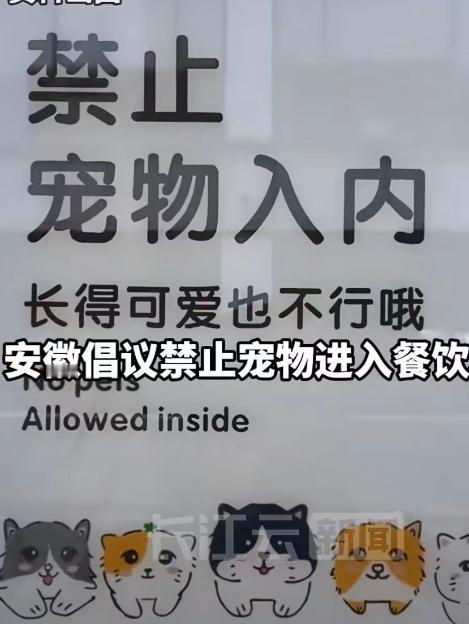 安徽两家行业单位联合下发倡议，核心要求很明确：所有餐饮场所，一律禁止宠物进入。不