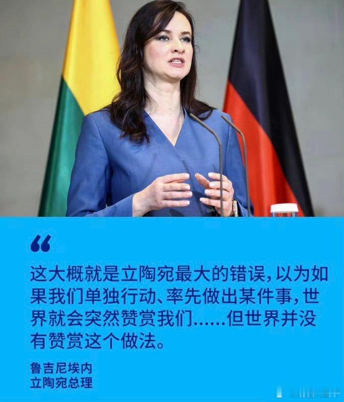 在面对立陶宛新任总理鲁吉尼埃内对恢复外交关系及更名台湾代表处所表现出的积极态度时