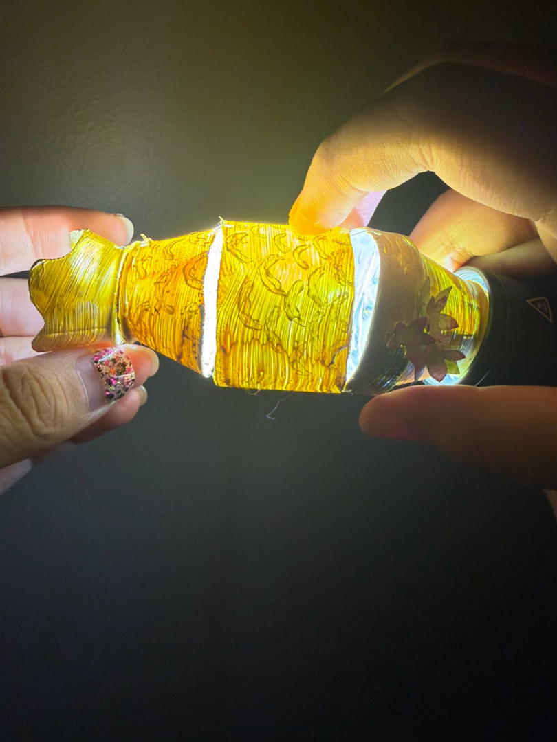 喝了益力多的空瓶，被米姐变成了鲤鱼🐟～ ​​​