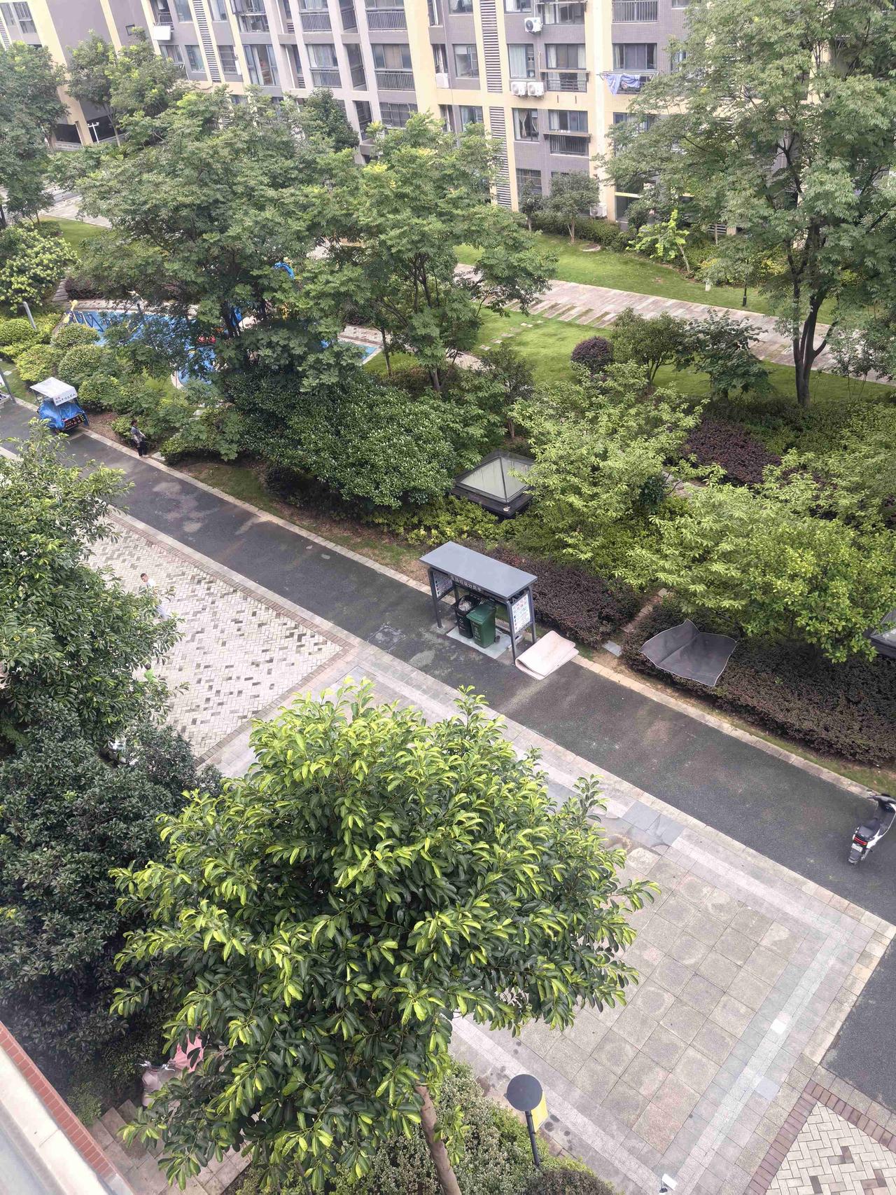 我的身体感觉比天气预报还准。

昨晚我看了天气预报，武汉今天是阴天。但早上的时候