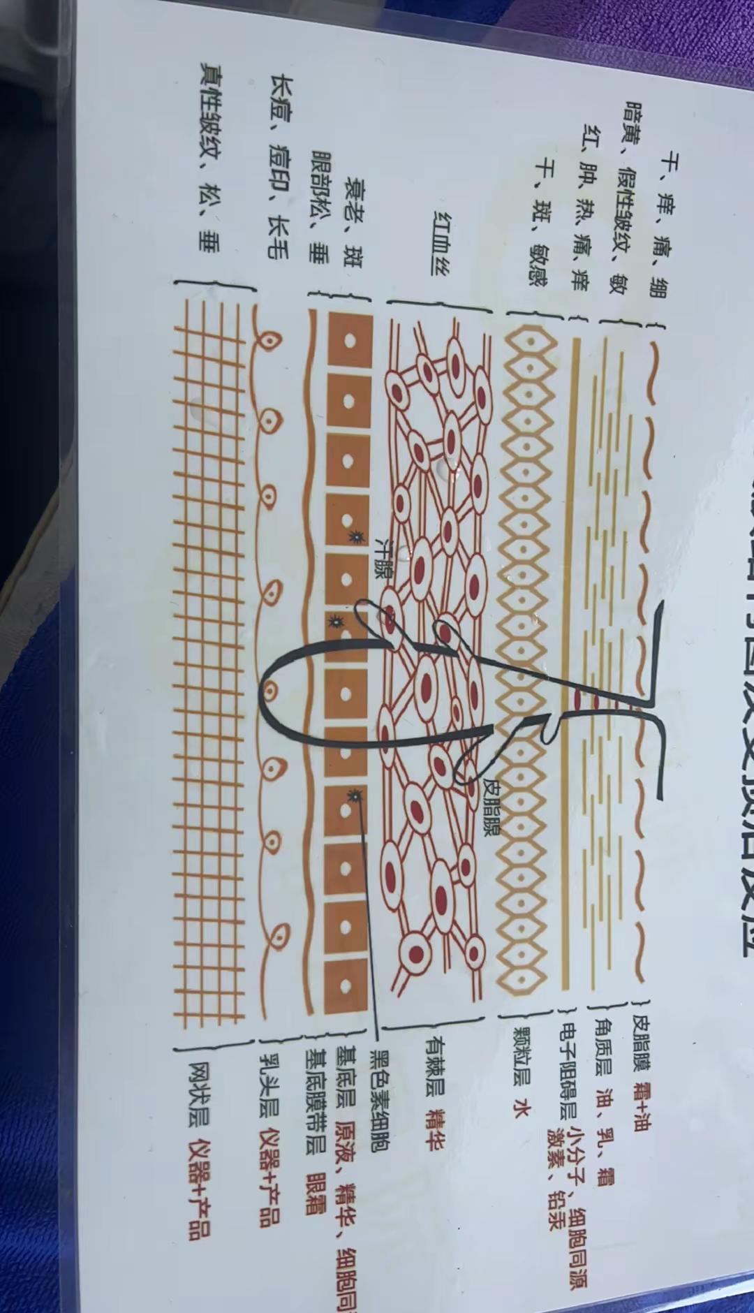 糖水铺不卖糖了？
不，它卖的是“甜到皮肤里”。
老顾客推门进来，还是那股红糖姜水