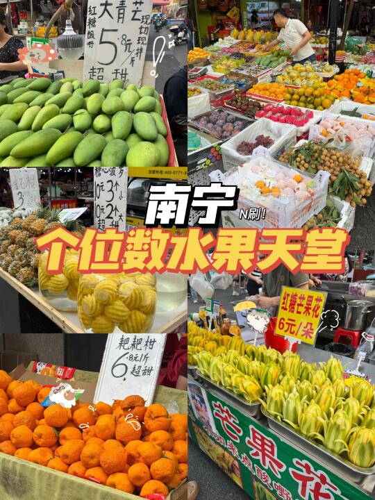 南宁美食/个位数合集🔥2025最新本地水果篇