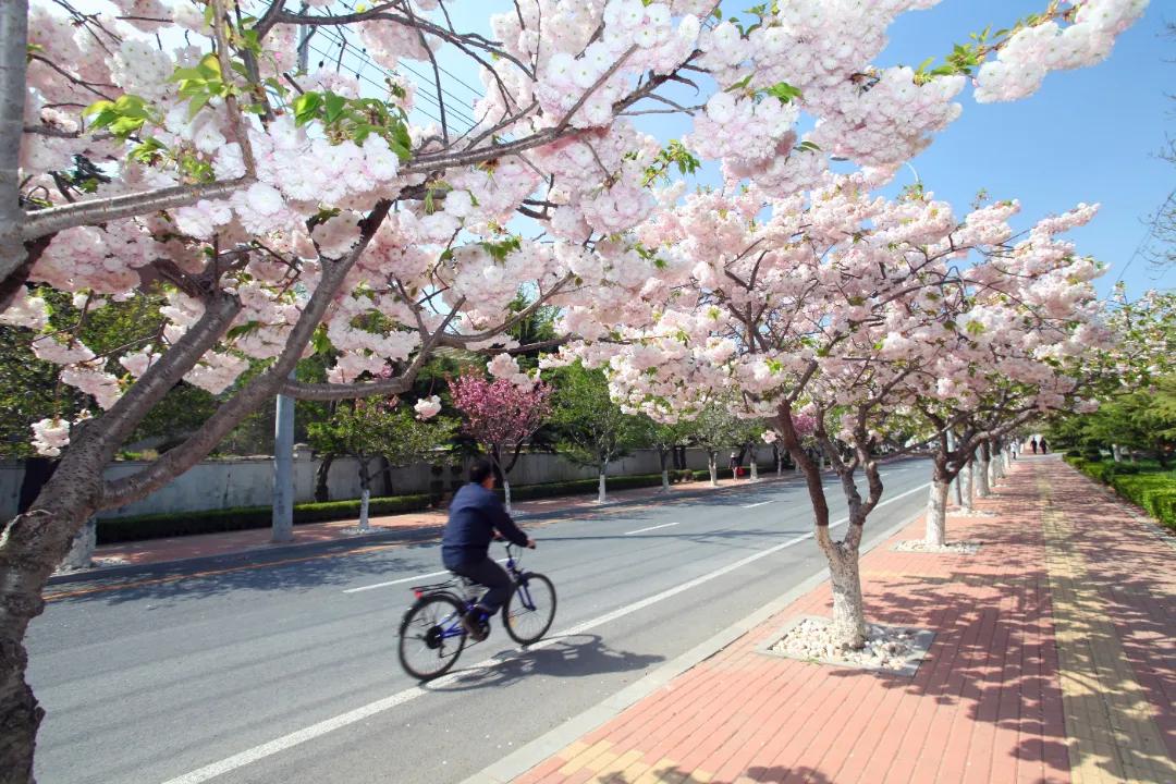 【心态好是最大的长寿秘诀】
        都说心态好是最大的长寿秘诀，还真是这