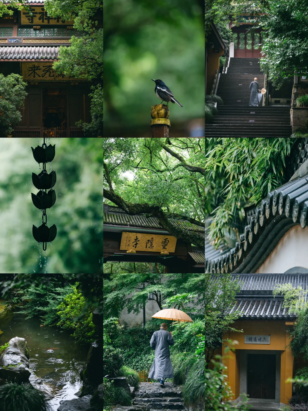 灵隐寺的雨，是我见过最有禅意的！