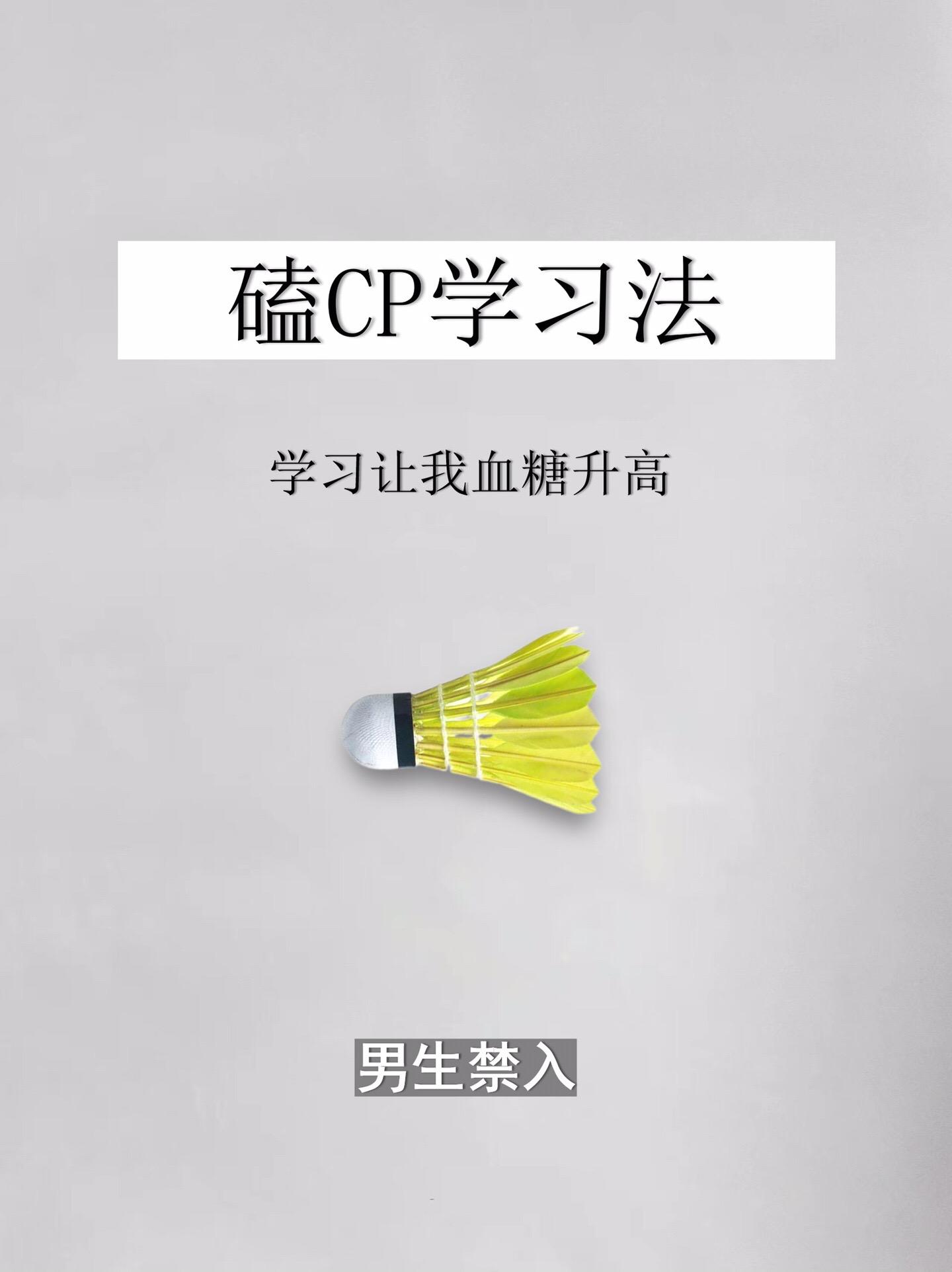 学习方法-磕cp学习法。