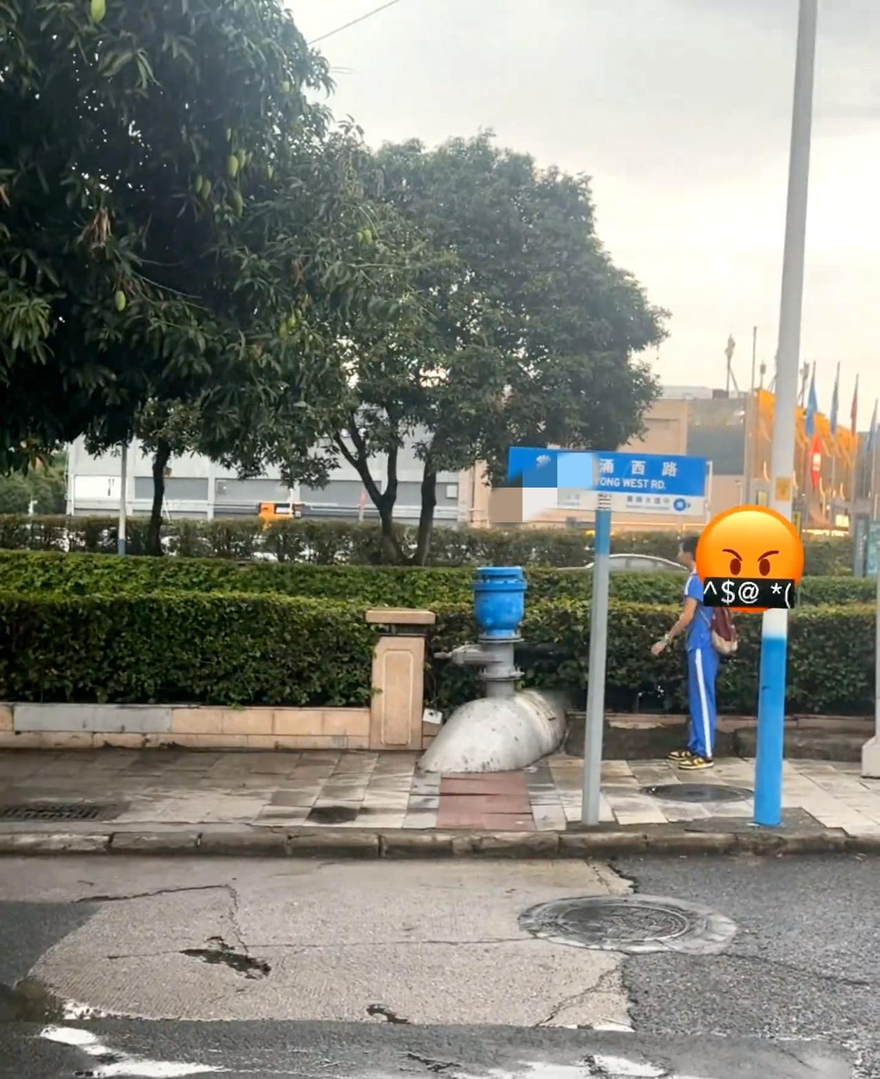 广西路边的野果真的不要摘

刚刚路过棠下看到一个中学生爬上石墩摘芒果，旁边是一条