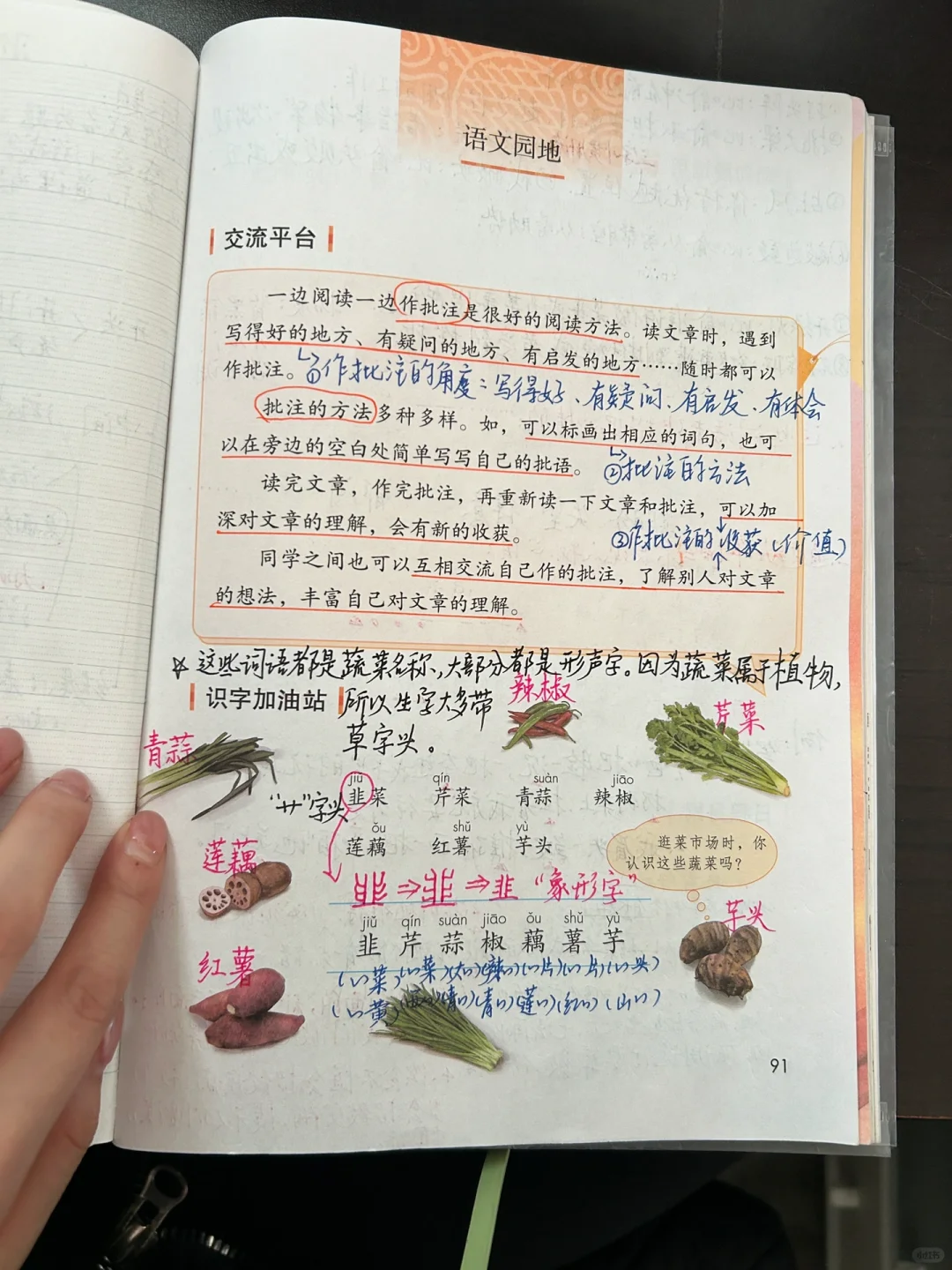 四上语文备课 《语文园地六》