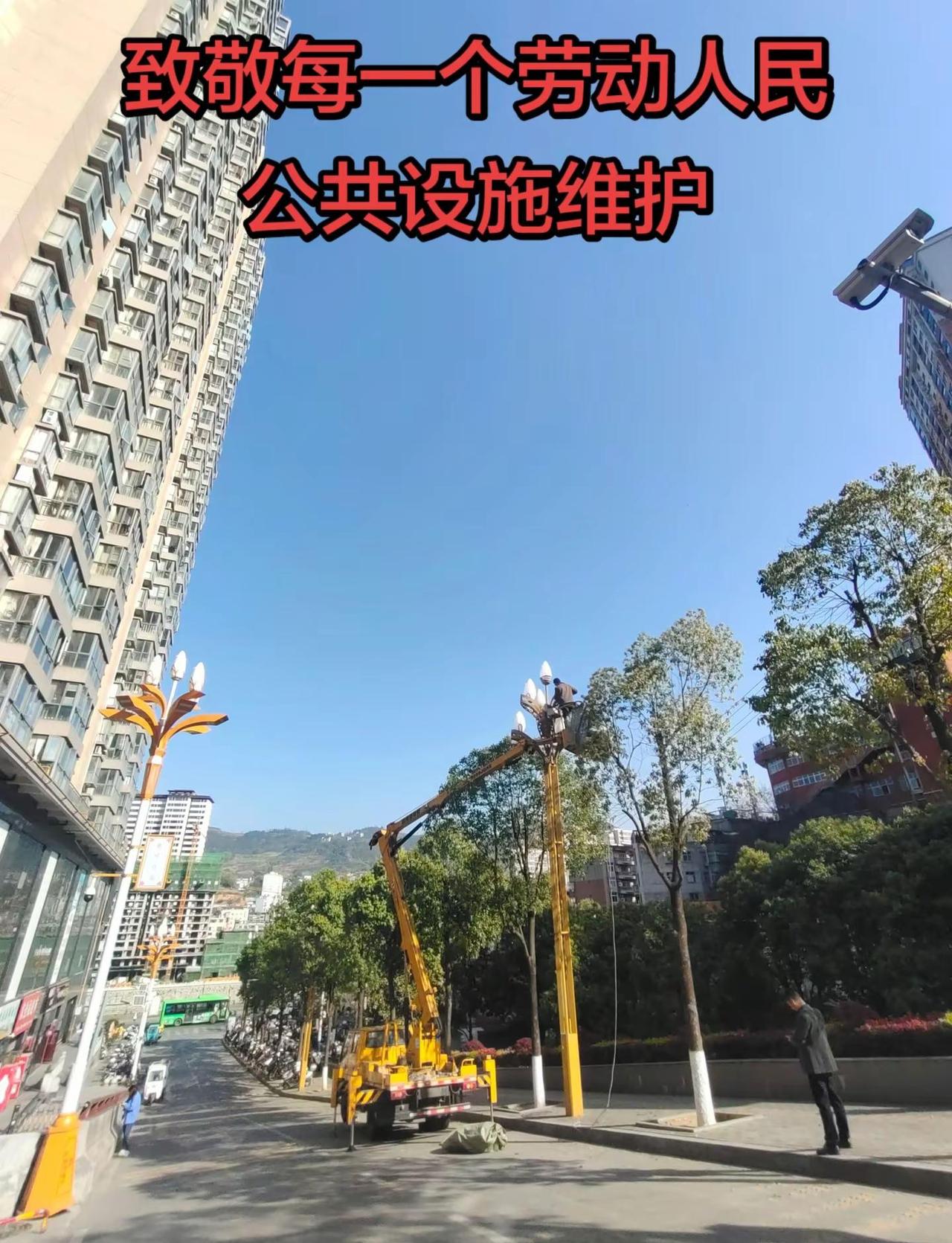 致敬每一个努力生活的人