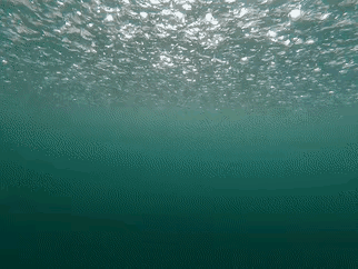 水下看下雨，这个角度，你们看过没有？下雨 下大雨后的风景 下雨以后的风景 窗外的