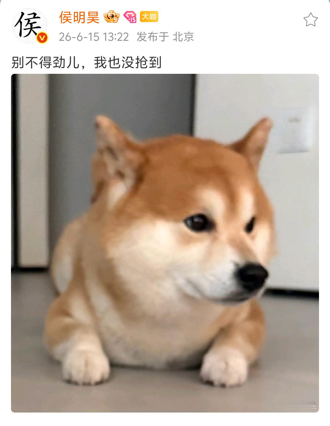 侯明昊将用最直接、最不绕弯子、最简单的方式安慰没抢到演唱会票的粉丝：他本人也没抢