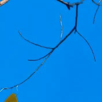 阳光，不只来自太阳，还来自我们的内心，心里有阳光，才能看到世界美好的一面，自信、