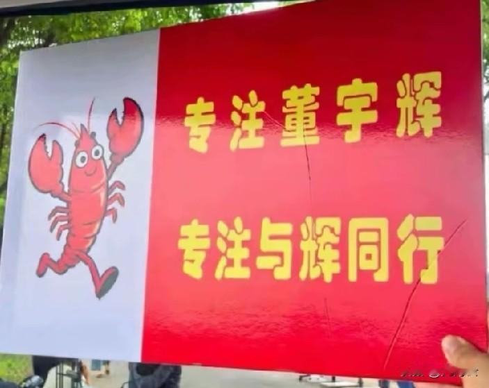 有几个自媒体又开始攻击送上这个手牌的博主。我不明白“专注董宇辉，专注与辉同行”这