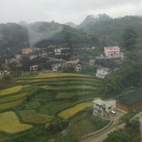 椰香读读汽车