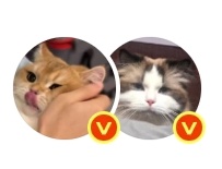 但我说真的我真的说真的 
