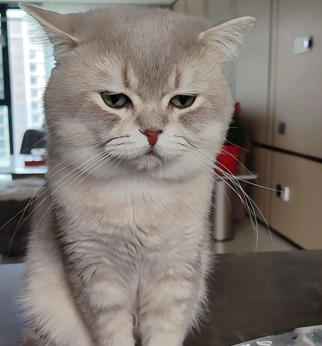 每年看3.15给我的感受就是，老百姓的命就一条，但各行各业都想要，各种毒使劲投，