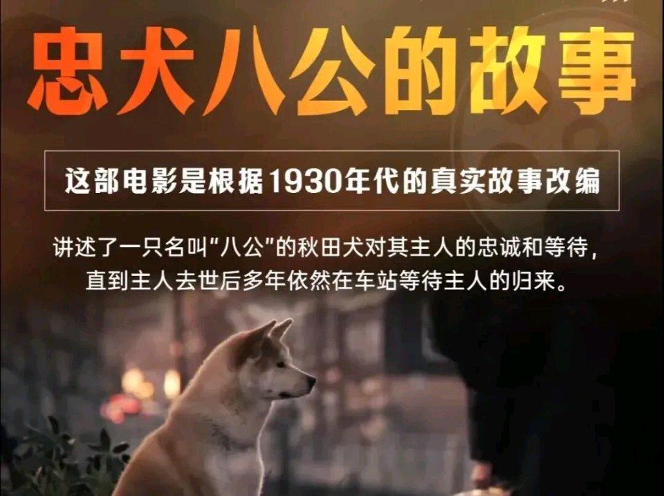 电影《忠犬八公的故事》让人感动，没想到上海宝山区泗塘一村也上演了现实版。宠物狗阿