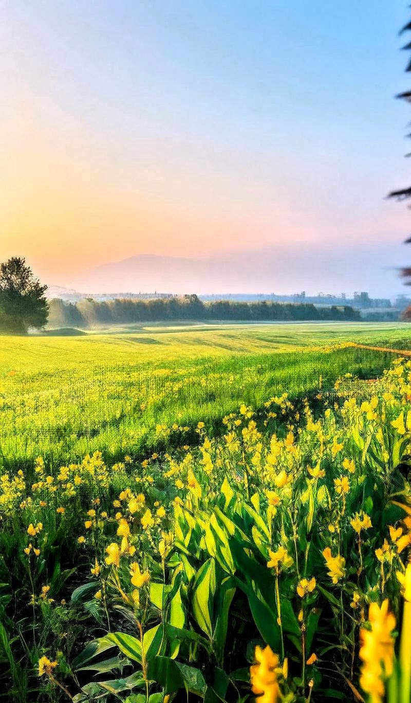 春天玄学
少酸多甘，清淡养肝，春日养身小常识，平和调理更舒服
 
进入春天，气温