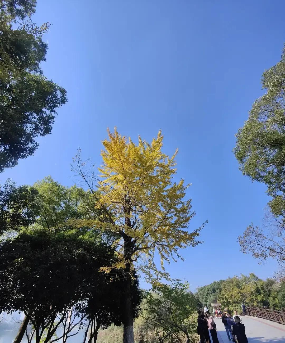 刷到一堆帖子说中年女人有没有福气看脸就知道，嘴角翘不翘眼角垂不垂全写在心里。
我