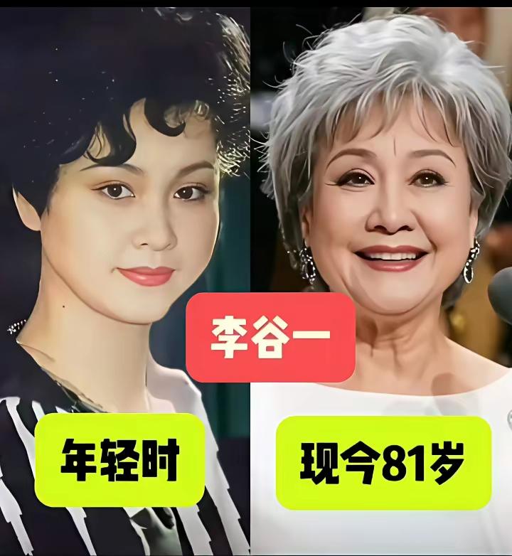 不少老牌歌唱家退休归于平淡，很少登台演出，那些经久不衰的歌声承载一代人青春，即便