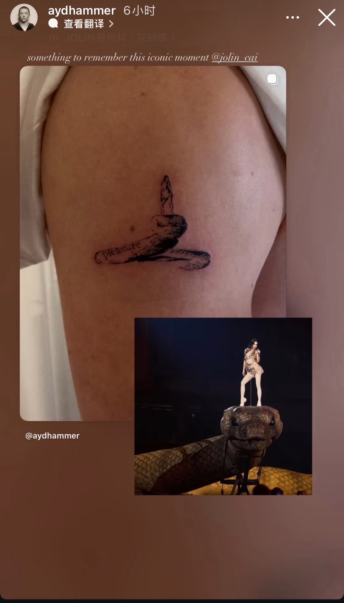 舞者ayden 把蔡依林脚踏巨蟒纹到了胳膊上配文：something to re