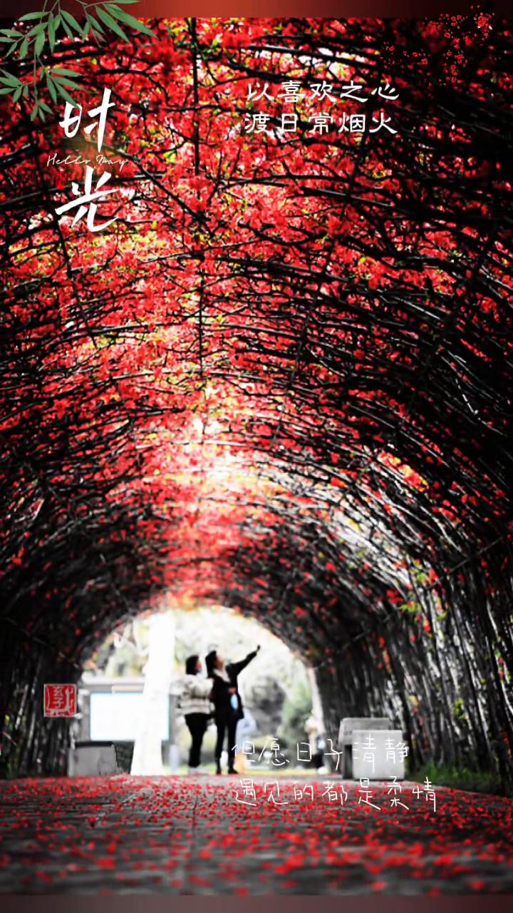 以喜欢之心渡日常烟火，但愿日上清静，遇见的都是负情。以喜欢之心渡日常烟火，但愿日