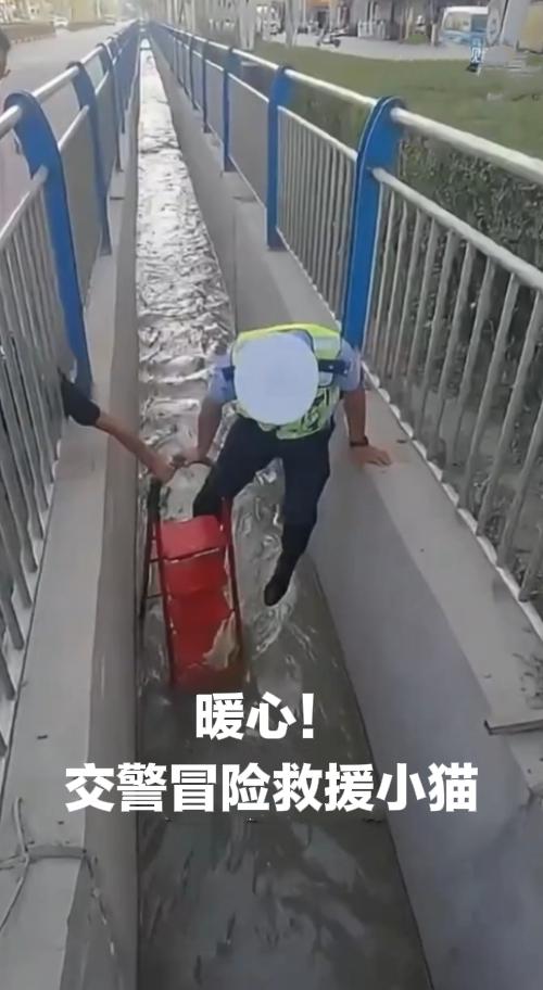 太治愈！新疆交警暖心救下落水小猫，温柔一幕刷屏全网
 
平凡人间，处处藏温柔！生