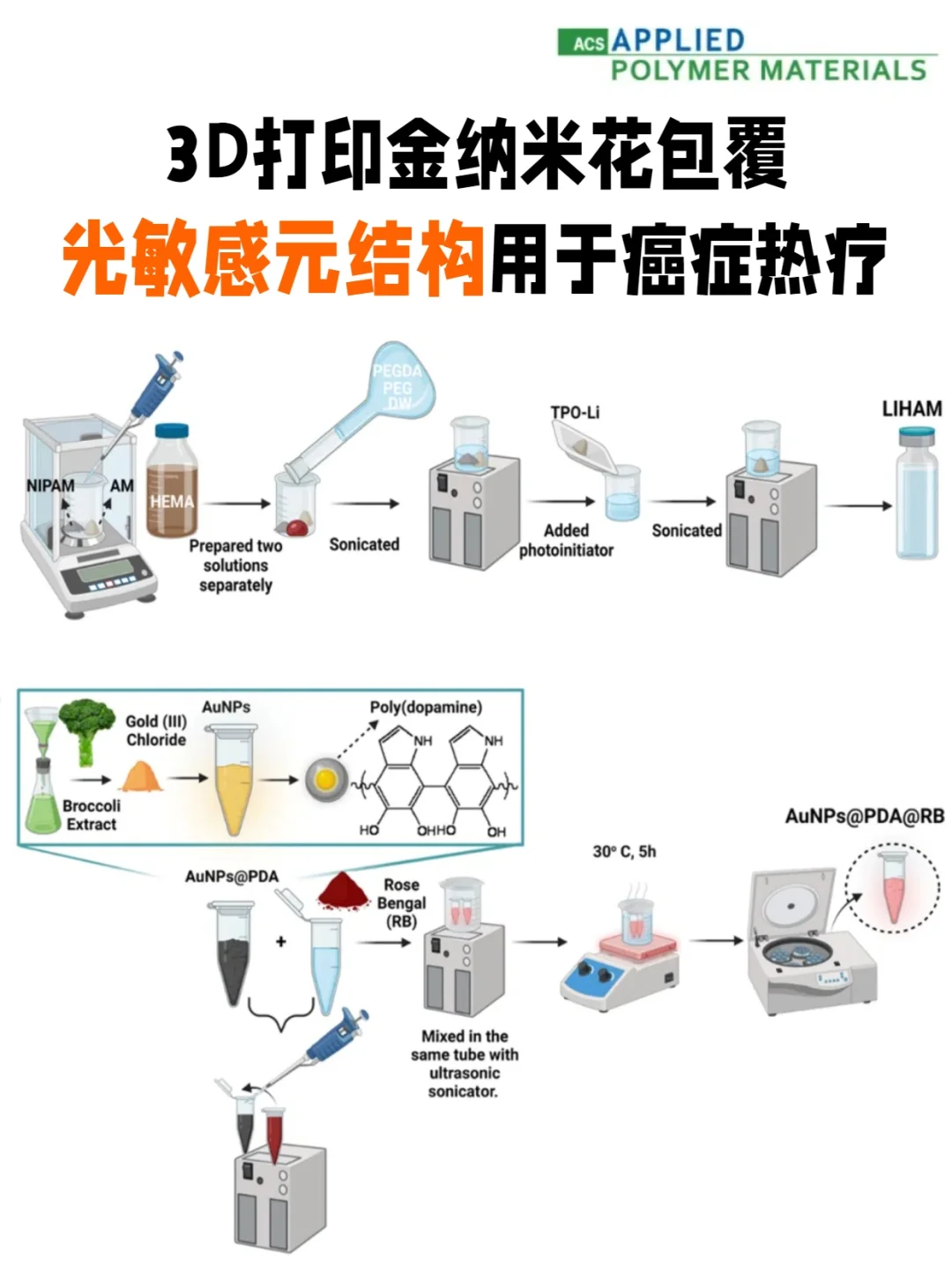 金纳米花包覆的光敏感元结构用于癌症热疗