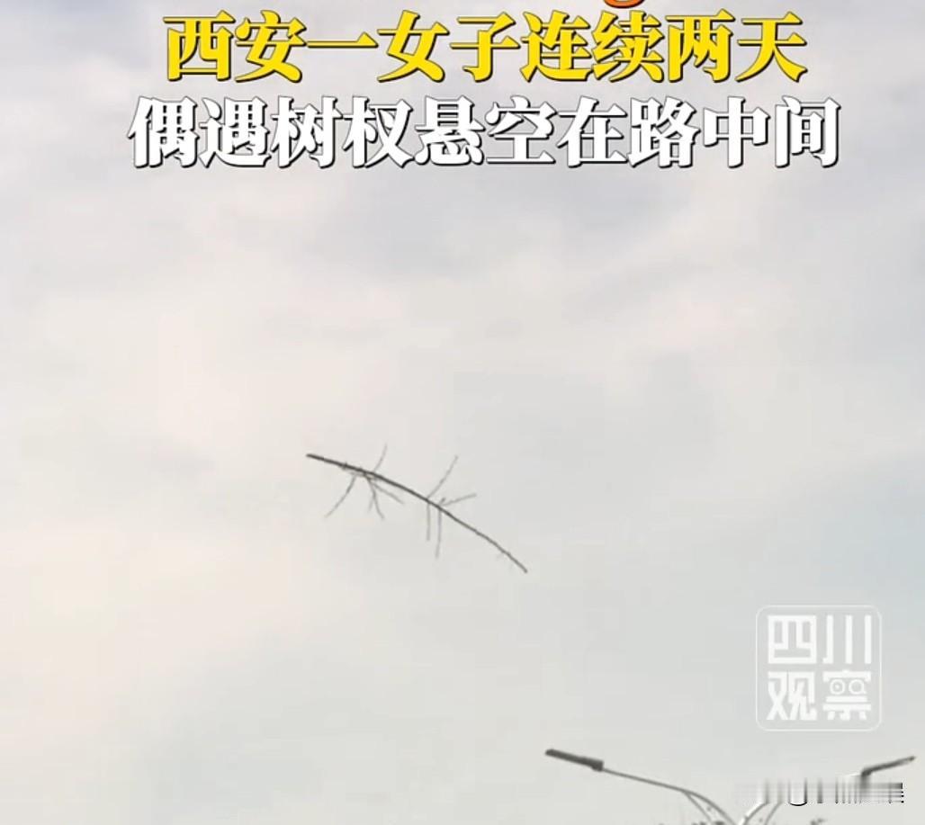 彻底解释不清了！
西安一女子发现居然有树杈悬停在半空中，而弄清事情的真相以后也是