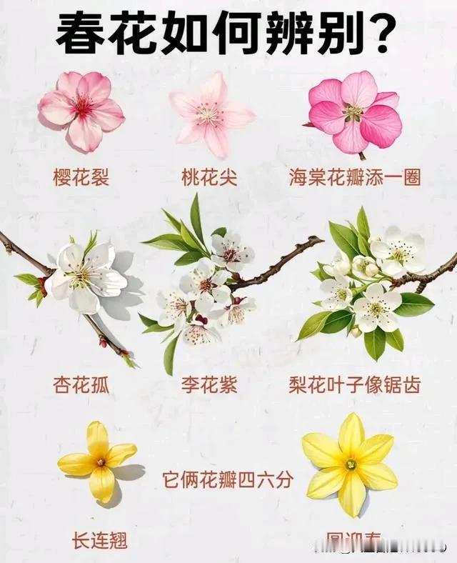 1 
第1步：应用商店下载今日頭條極速版.叁陆伍
第2步: 打开 今日頭條極速版
