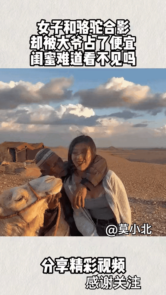 太搞笑了
美女和骆驼合影
本想拍组沙漠大片
结果刚挨近骆驼
这家伙的嘴突然往美女