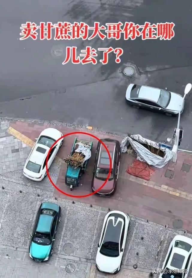 四川，男子发现在楼下街边摆摊的大哥突然不来出摊了，放在三轮车上的甘蔗都枯成了“木
