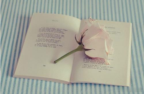 Sound love is not soon forgotten.坚实的爱情不会