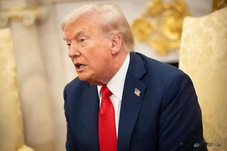 特朗普的执政风格是否适合美国特朗普的执政风格对美国政治体制和社会结构产生了深远影