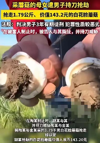 内蒙古，俩母女在草场采蘑菇，一男人骑摩托车过来，趁母女俩不留意，竟然把3.58斤