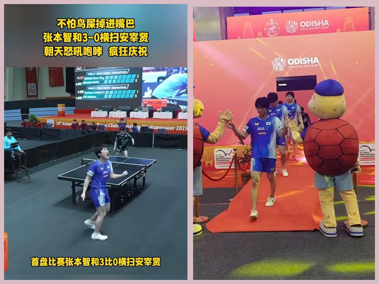 男团亚锦赛1/4决赛，
张本智和为什么能2连胜？
这次大比分取胜并不是球技提升，