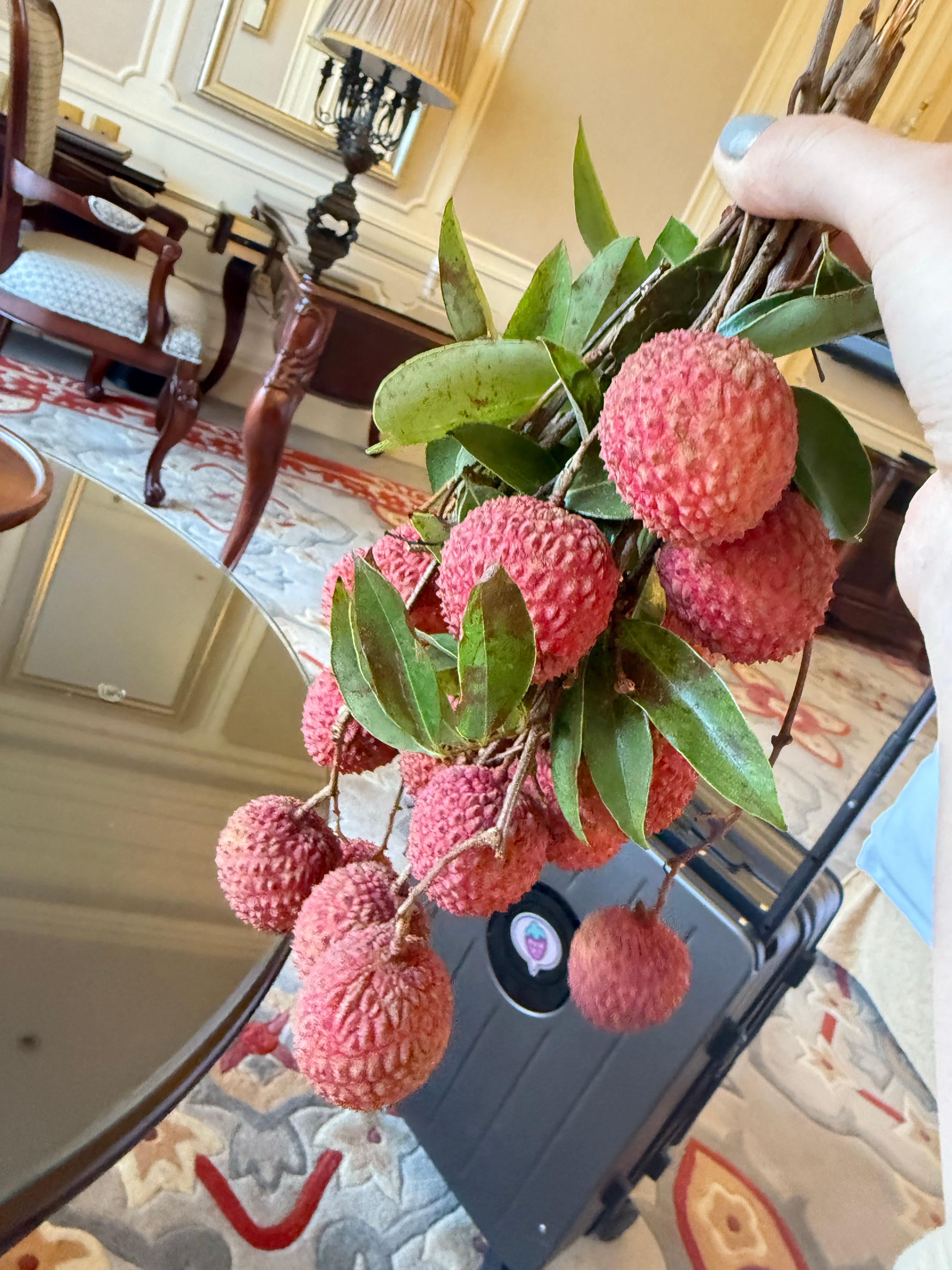 喜提岭南时尚单品一串～核大，纯甜。谁认的出来这是哪个品种？荔枝 补阳长安的荔枝 