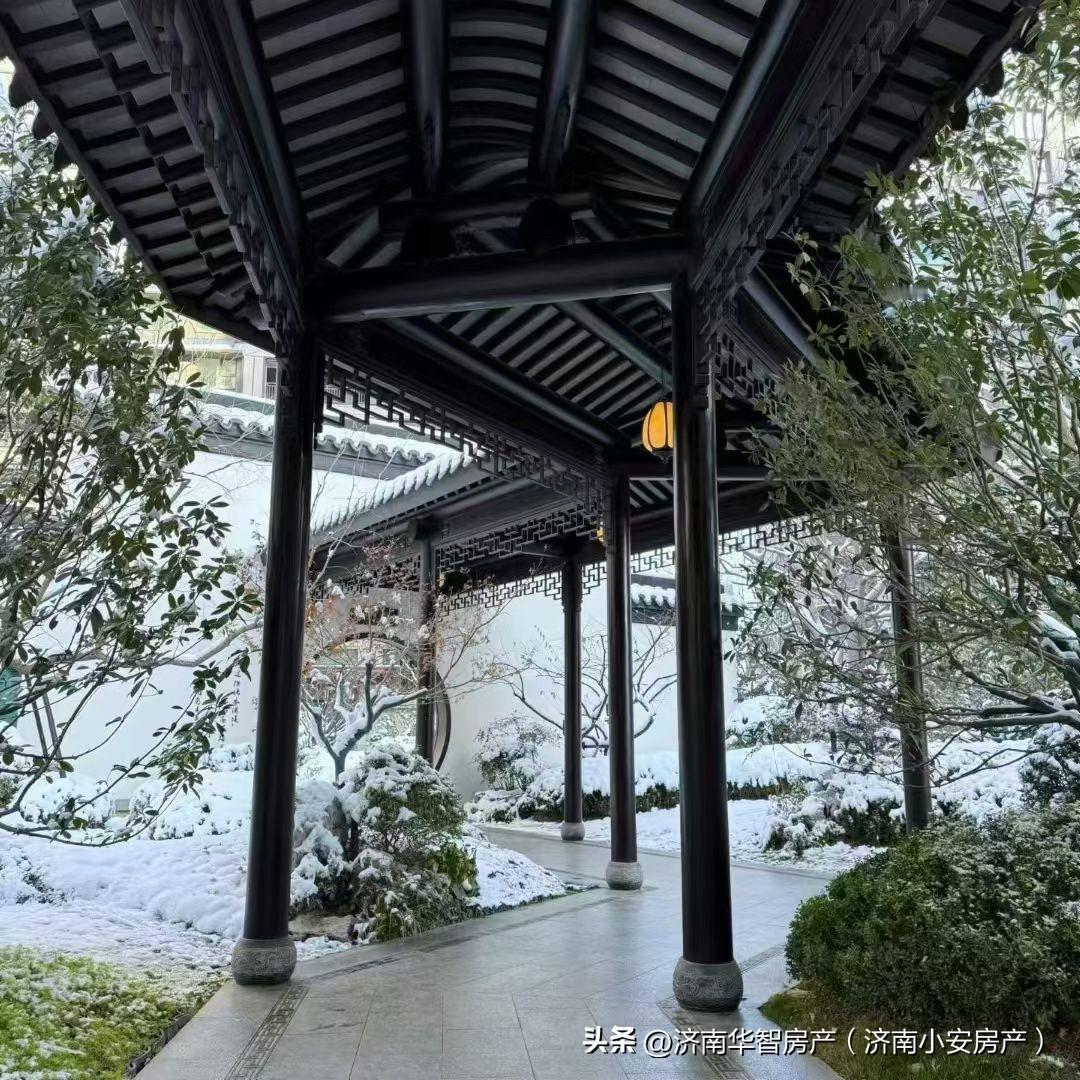 济南2026年的房子真是乱套了！有人说涨疯了，也有人说跌惨了！
2026年在济南