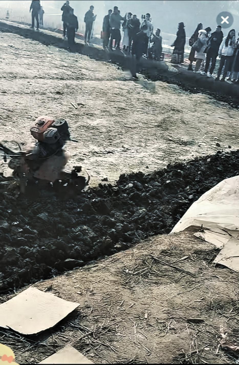 呆呆可能没料到，自家那块地最后会变成这样。

她最初只是发愁父亲年纪大，按不住年