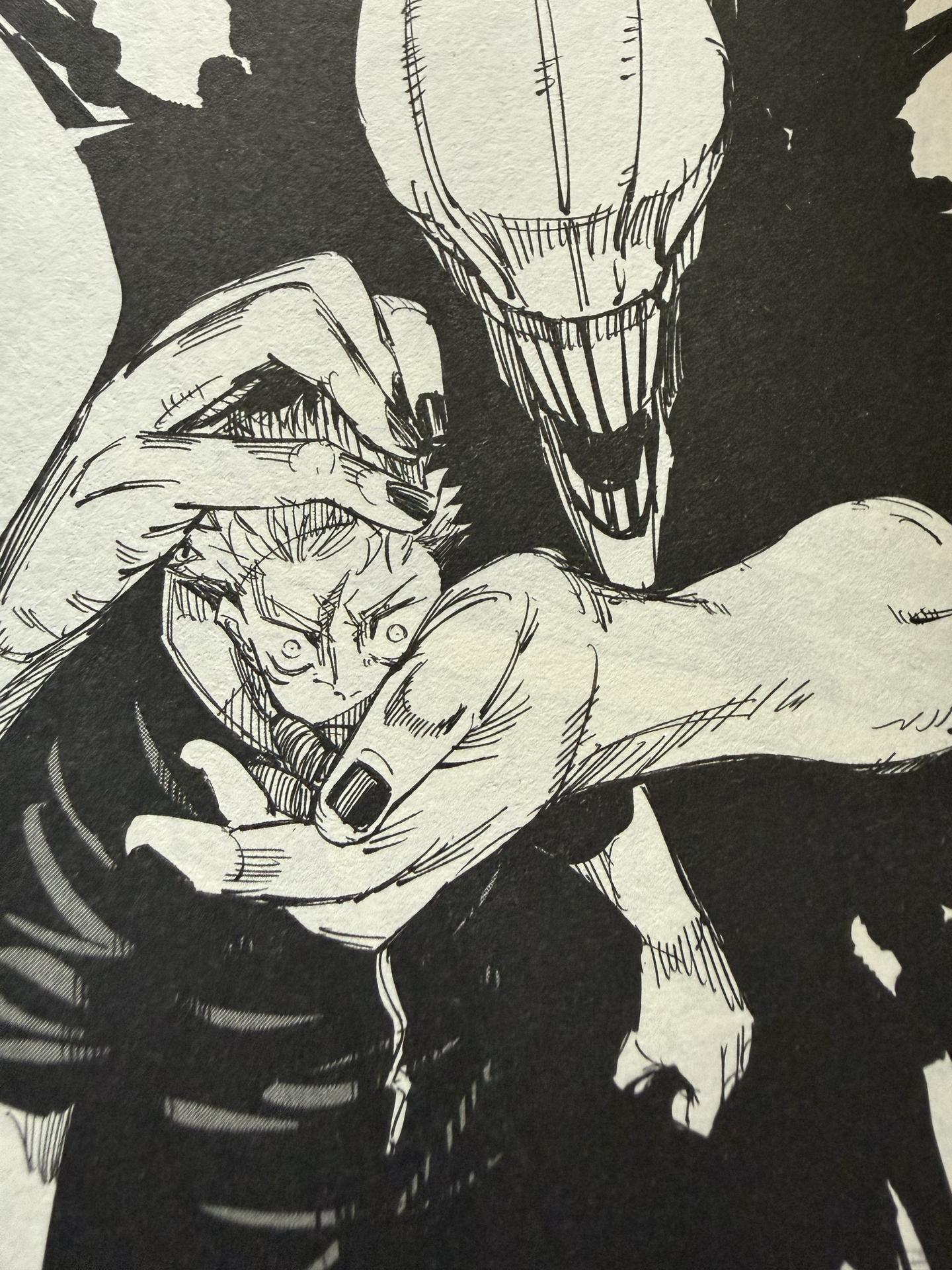 《咒术回战》漫画与动画。这一段动画并没有给宿傩面部特写而是拉远镜头的背...