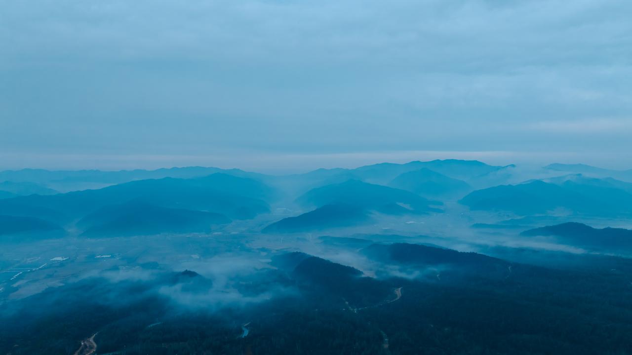 你转身的背影
寸段肝肠的离别情景
在无数个挣扎苟活的日与夜
从我的血液中滚流
那